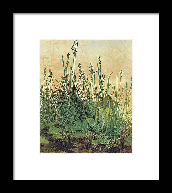 Albrecht Durer Framed Print featuring the painting The Large Piece of Turf by Albrecht Durer