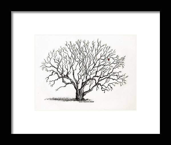 Landscape Framed Print featuring the print The Last Apple by Anne Trotter Hodge