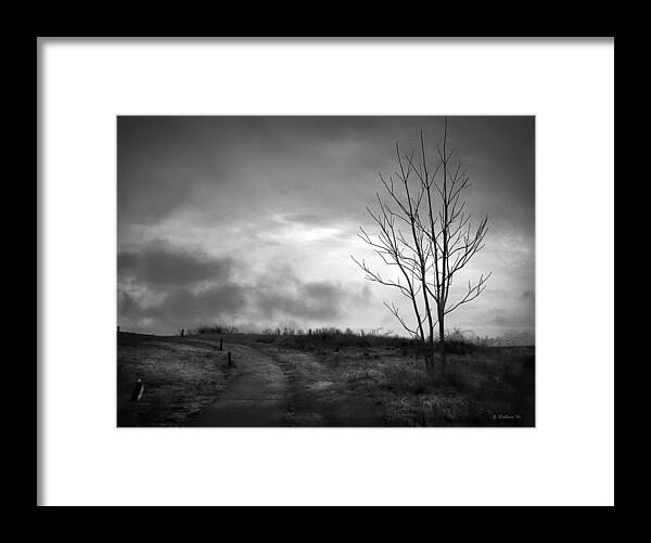 2d Framed Print featuring the photograph The Last Dawn - Grayscale by Brian Wallace