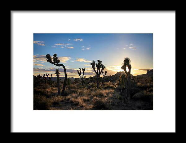 Joshua Tree National Park Framed Print featuring the photograph The Last Time I Touched You by Laurie Search