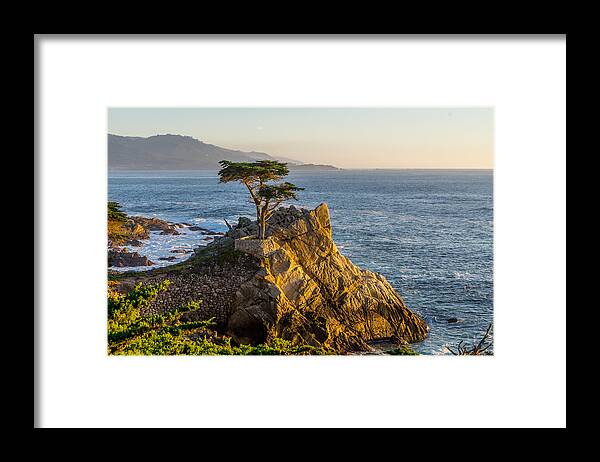 Pebble Beach Framed Print featuring the photograph The Lonely Cypress by Derek Dean
