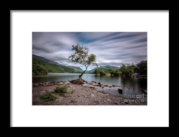 Llyn Padarn Framed Print featuring the photograph The lonely tree at Llyn Padarn lake - Part 1 by Mariusz Talarek