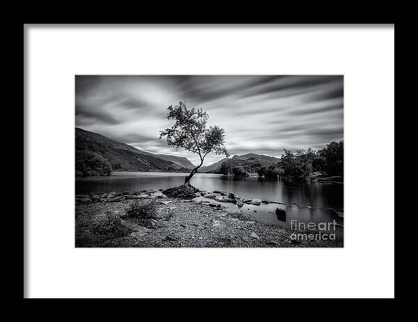 Llyn Padarn Framed Print featuring the photograph The lonely tree at Llyn Padarn lake - Part 2 by Mariusz Talarek