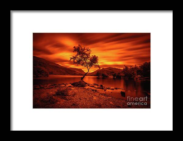 Llyn Padarn Framed Print featuring the photograph The lonely tree at Llyn Padarn lake - Part 3 by Mariusz Talarek