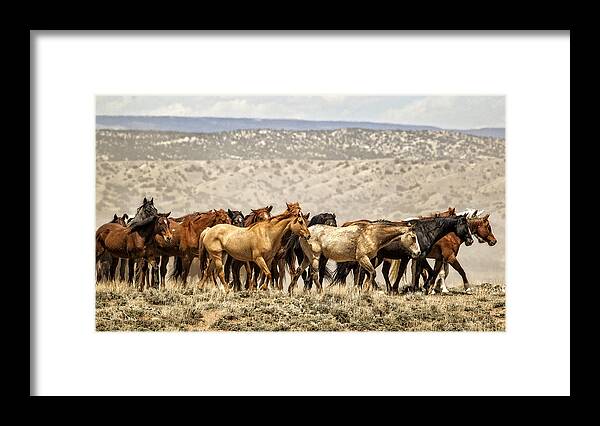 Colorado Framed Print featuring the photograph The Long Walk by Joan Davis