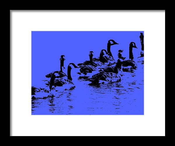 Birds Framed Print featuring the photograph The Look Out by Edward Smith