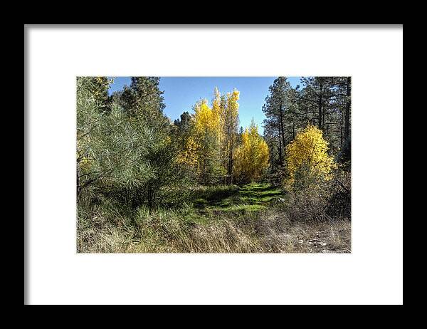 Nature Trees Landscape Outdoors Grass Weeds Rocks Color Gold Red Green Blue Sky Beauty Fall Season Lower Lynx Creek Prescott Northern Arizona. Framed Print featuring the photograph The magic of fall by Thomas Todd