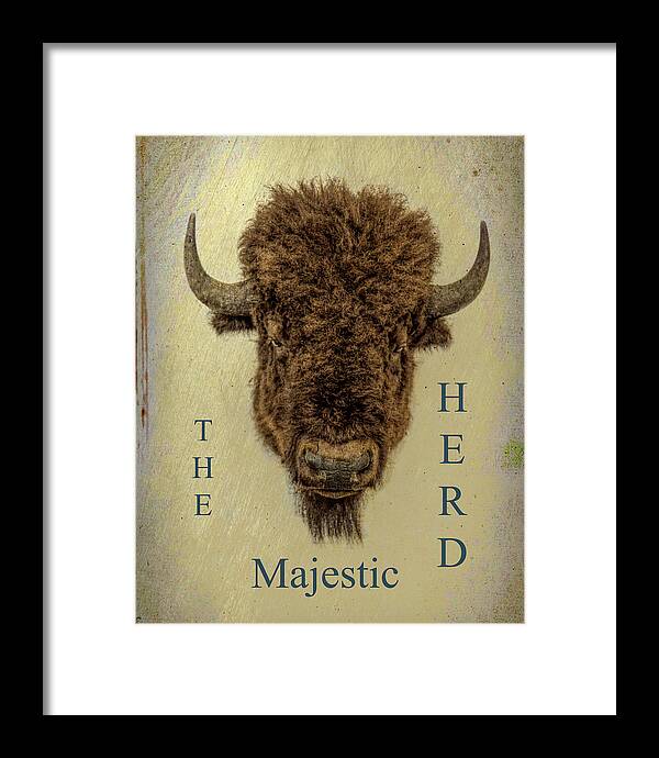  Bison Framed Print featuring the mixed media The Majestic Herd by M Three Photos