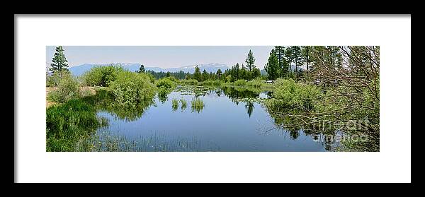 Marsh Framed Print featuring the photograph The Marsh by Joe Lach