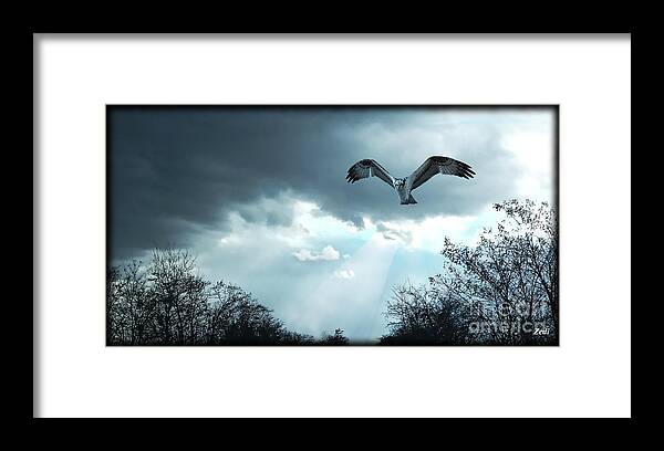 Falcon Framed Print featuring the digital art The Hawk by - Zedi -