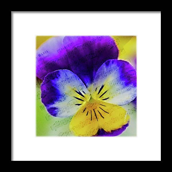Flower Framed Print featuring the photograph The Music Of Flowers by Cathy Kovarik