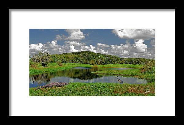 Nature Framed Print featuring the photograph The Myakka River by Phil Jensen