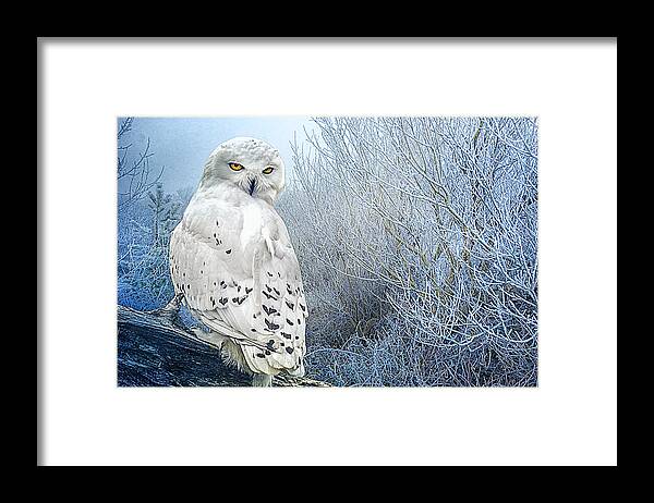 Snowy Owl Framed Print featuring the photograph The Mystical Snowy Owl by Brian Tarr