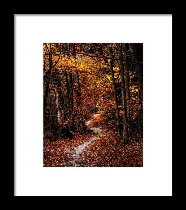 Landscape Framed Print featuring the photograph The Narrow Path by Scott Norris