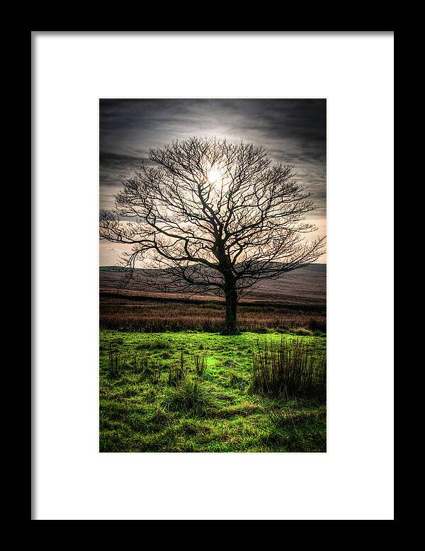 Landscape Framed Print featuring the photograph The One Tree by Geoff Smith