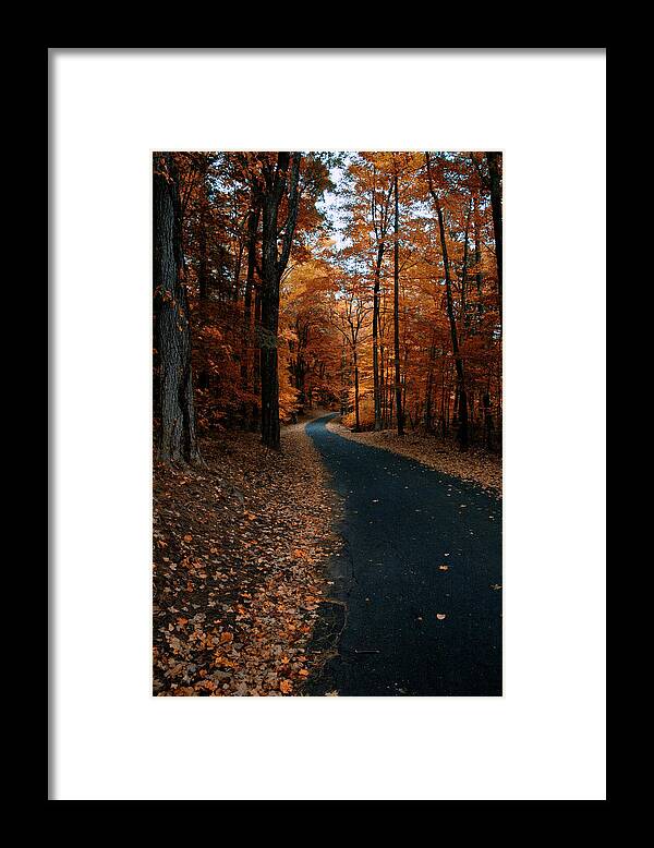 Autumn Framed Print featuring the photograph The Orange Road by Ross Powell