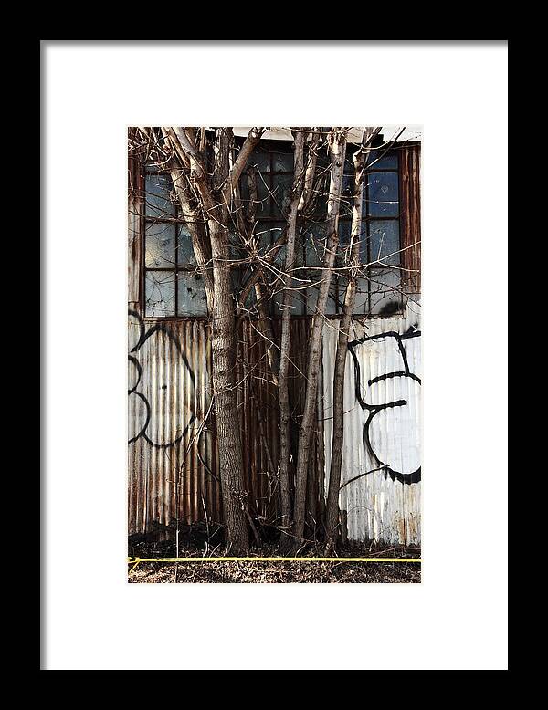 Tree Framed Print featuring the photograph The Orchard by Kreddible Trout