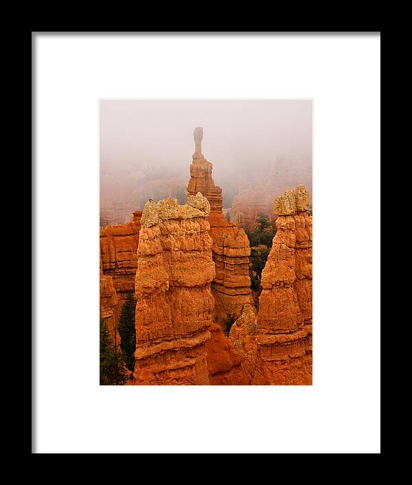 Brycecanyon Framed Print featuring the photograph The Over Acheiver by Ann Boulais