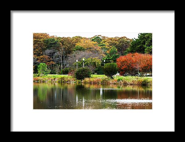 Park Framed Print featuring the photograph The Park by Judy Wolinsky
