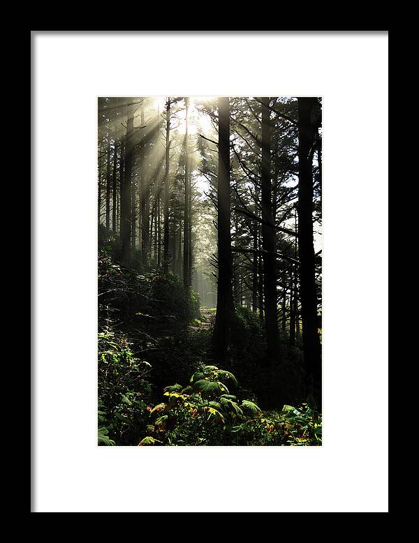 Inspirational Framed Print featuring the photograph The Path Back Home by James Eddy