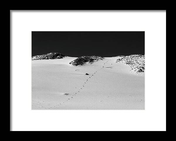 Sand Framed Print featuring the photograph The Path - Black and White by David Smith