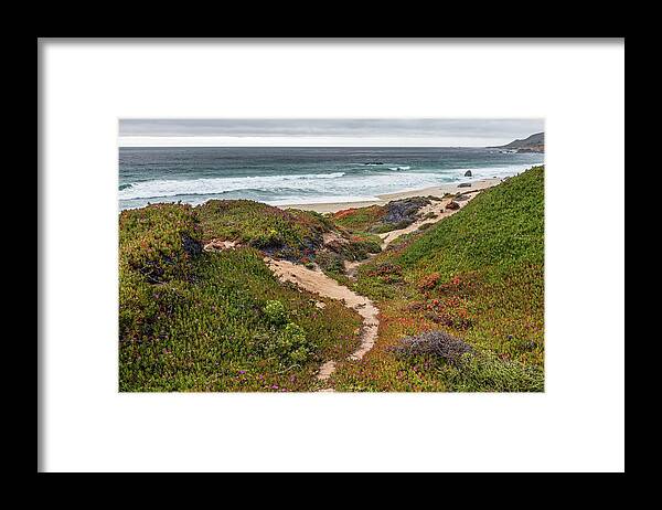 Beach Framed Print featuring the photograph The Path by Chuck Jason