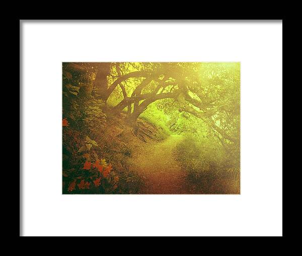 Landscape Framed Print featuring the digital art The Path in Gold by Kevyn Bashore