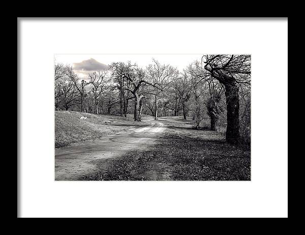 Jay Stockhaus Framed Print featuring the photograph The Pecan Grove by Jay Stockhaus
