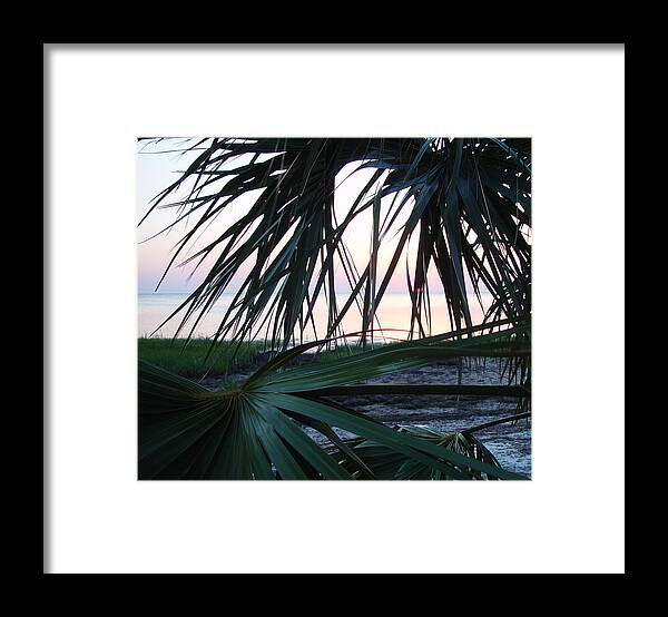 Palms Framed Print featuring the painting The Peeking Palms by Debbie May