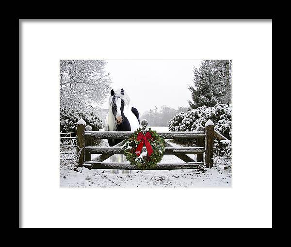 Equine Framed Print featuring the photograph The Perfect Christmas by Terry Kirkland Cook