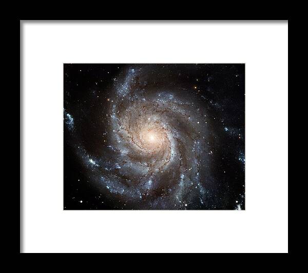 Pinwheel Framed Print featuring the painting The Pinwheel Galaxy by Hubble Space Telescope