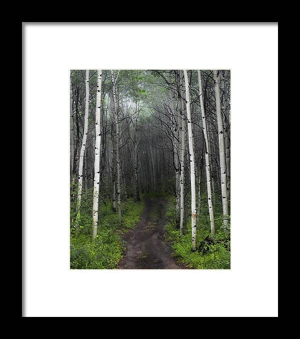 Nature Framed Print featuring the photograph The Portal by Scott Cordell