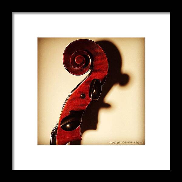 Violin Framed Print featuring the photograph The Profile #2 by Steven Digman