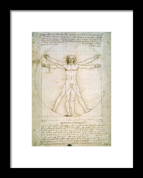 The Framed Print featuring the painting The Proportions of the Human Figure by Leonardo Da Vinci