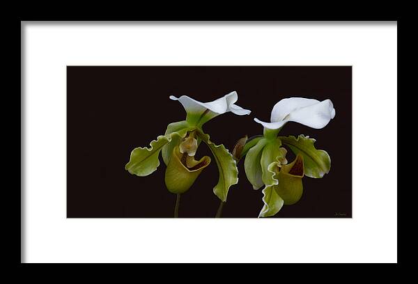 Lady Slippers Framed Print featuring the photograph The Proposal by Jo Smoley