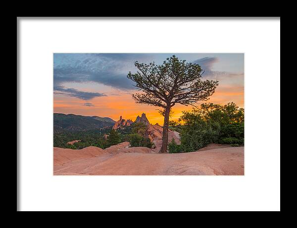 Garden Of The Gods Framed Print featuring the photograph The Rising Sun by Tim Reaves