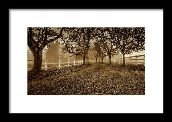 Country Road Framed Print featuring the photograph The Road Less Traveled by Don Schwartz