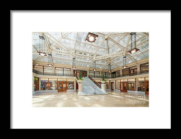 Art Framed Print featuring the photograph The Rookery by David Levin