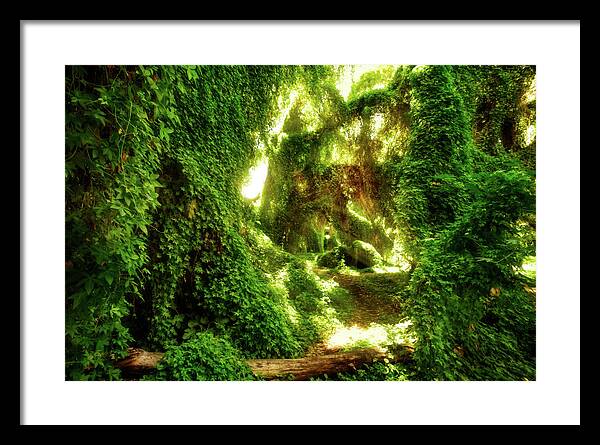 Australia Framed Print featuring the photograph The Secret Garden, Perth by Dave Catley