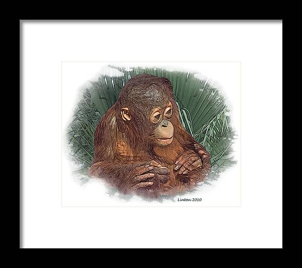 Orangutan Framed Print featuring the digital art The Security Of A Mother's Hands by Larry Linton