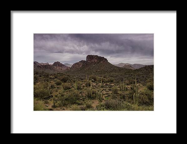 Arizona Framed Print featuring the photograph The Sentinels of the Sonoran Desert by Saija Lehtonen