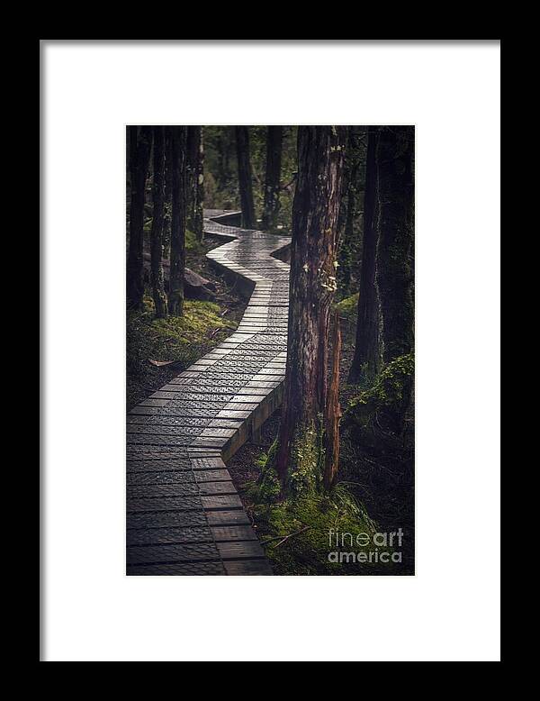 Kremsdorf Framed Print featuring the photograph The Shining Path by Evelina Kremsdorf