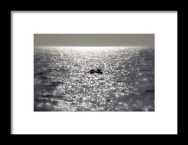 The Silver Sailor Framed Print featuring the photograph The Silver Sailor by Edward Smith