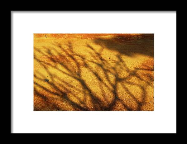 Nature Framed Print featuring the photograph The Soundlessness of Nature by Prakash Ghai