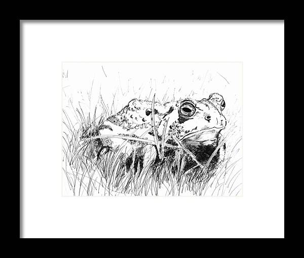 Toad Framed Print featuring the drawing The Stalwart Old Toad by Andrew Gillette