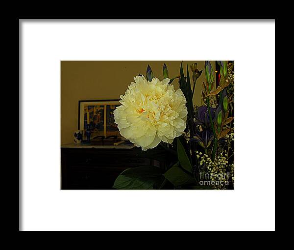 Photography Framed Print featuring the photograph The Stand Out by Nancy Kane Chapman