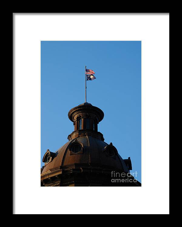 Capitol Framed Print featuring the photograph The State Flag of South Carolina in Columbia SC by Susanne Van Hulst
