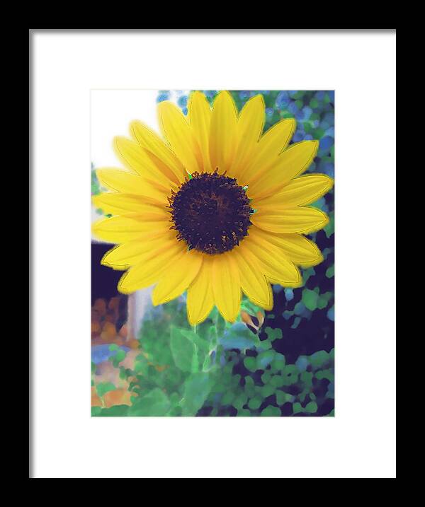 Sun Flower Framed Print featuring the photograph The Sunflower by Chuck Shafer