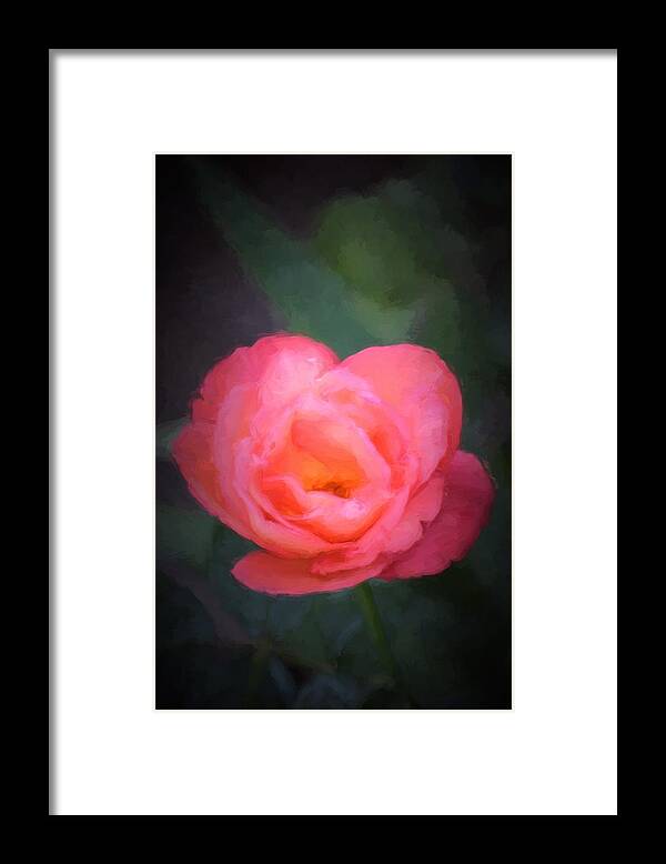 Floral Framed Print featuring the photograph The Survivor by Pamela Cooper