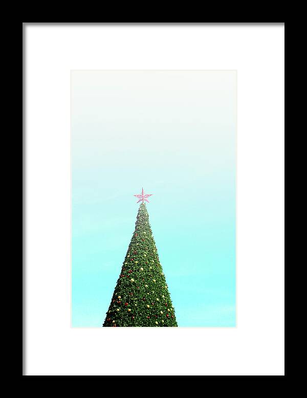 Christmas Framed Print featuring the photograph The Tallest Christmas Tee- Photograph by Linda Woods by Linda Woods
